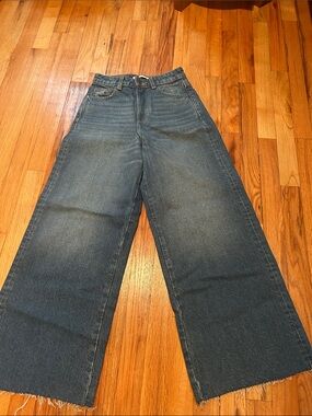 Zara Wide-Leg Jeans in Washed Blue